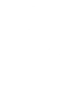 Tax Agent Number